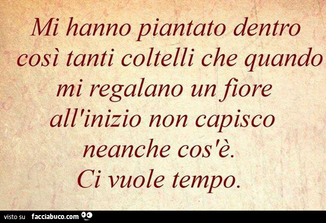 Mi hanno piantato dentro così tanti coltelli che quando mi regalano un fiore all'inizio non capisco neanche cos'è. Ci vuole tempo