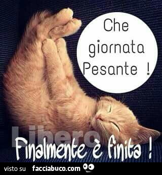Che giornata pesante! Finalmente è finita
