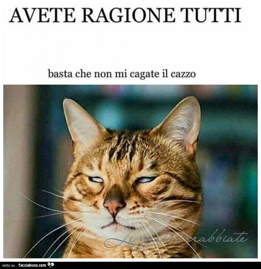 Avete ragione tutti. Basta che non mi cagate il cazzo