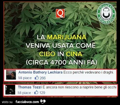 La Marijuana veniva usata come cibo in Cina circa 4700 anni fa. Ecco perchè vedevano i draghi. E ancora non riescono a riaprire bene gli occhi