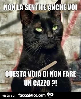 Non la sentite anche voi questa voja di non fare un cazzo?