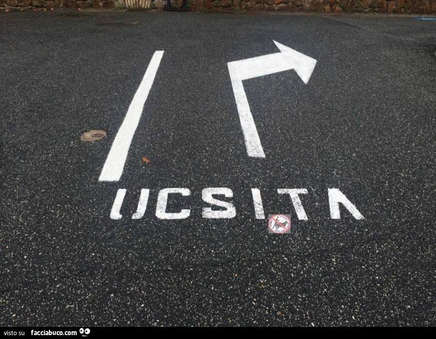 Ucsita anzichè uscita scritto sulla strada
