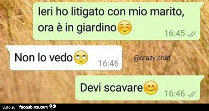 Ieri ho litigato con mio marito, ora è in giardino. Non lo vedo. Devi scavare