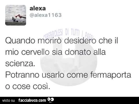 Quando morirò desidero che il mio cervello sia donato alla scienza. Potranno usarlo come fermaporta o cose così