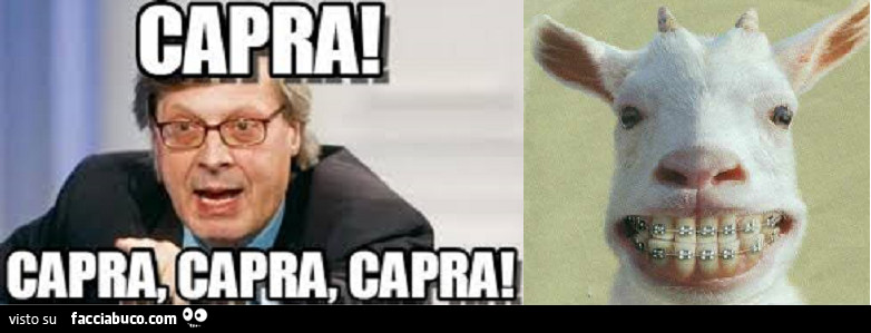 Sgarbi: Capra! Capra, capra capra! La capra con l'apparecchio