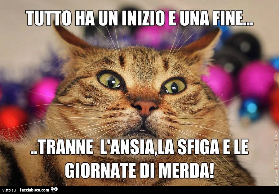 Tutto ha un inizio e una fine&hellip; tranne l'ansia, la sfiga e le giornate di merda