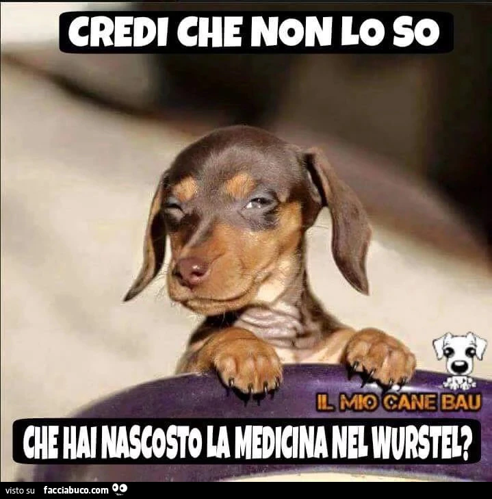 Credi che non lo so che hai nascosto la medicina nel wurstel?