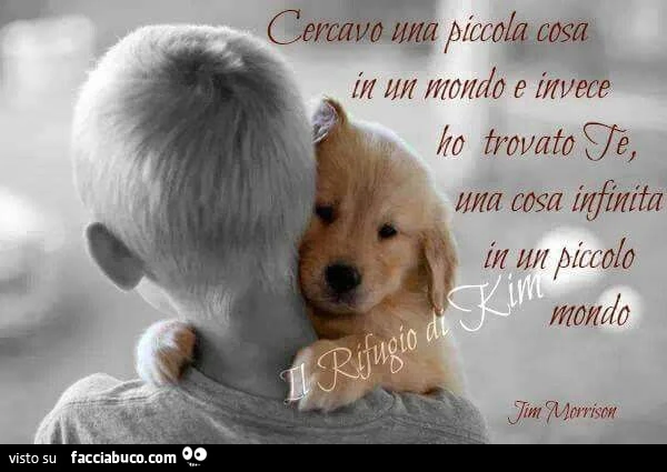 Cercavo una piccola cosa in un mondo e invece ho trovato te, una cosa infinita in un piccolo mondo. Jim Morrison