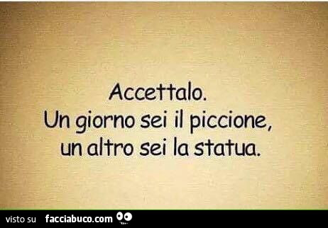 Accettalo. Un giorno sei il piccione, un altro sei la statua
