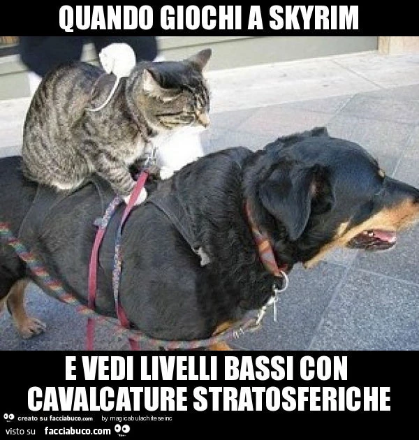 Quando giochi a skyrim e vedi livelli bassi con cavalcature stratosferiche