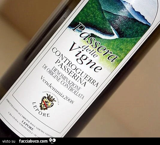 Passera delle Vigne. Controguerra Passerina