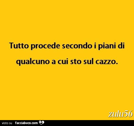 Tutto procede secondo i piani di qualcuno a cui sto sul cazzo