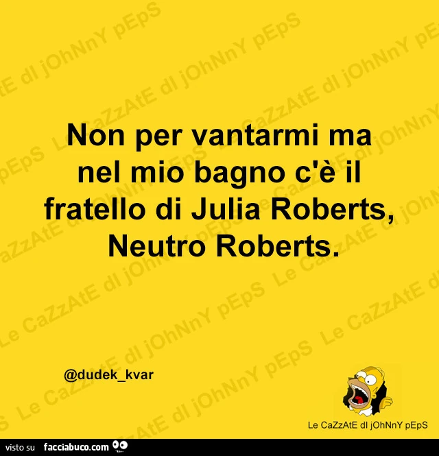 Non per vantarmi ma nel mio bagno c'è il fratello di Julia Roberts, Neutro Roberts