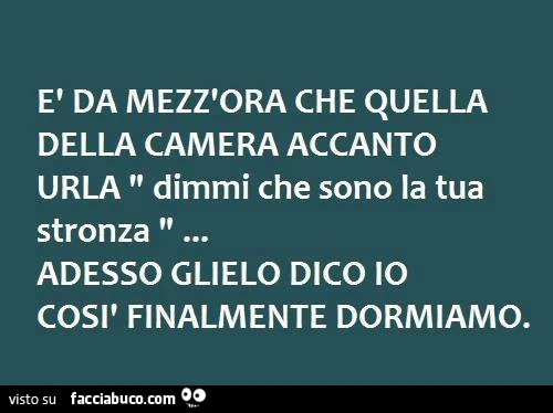 È da mezz'ora che quella della camera accanto urla "dimmi che sono la tua stronza". Adesso glielo dico io così finalmente dormiamo