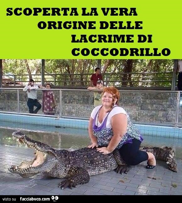 Risultati immagini per lacrime di coccodrillo