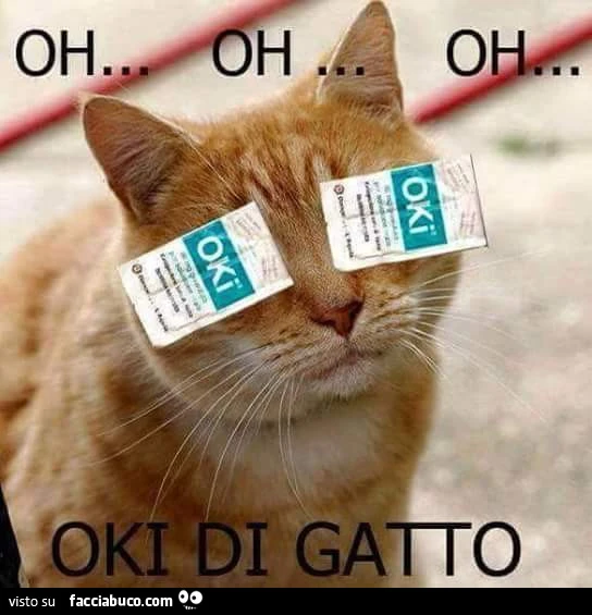 Oki di gatto