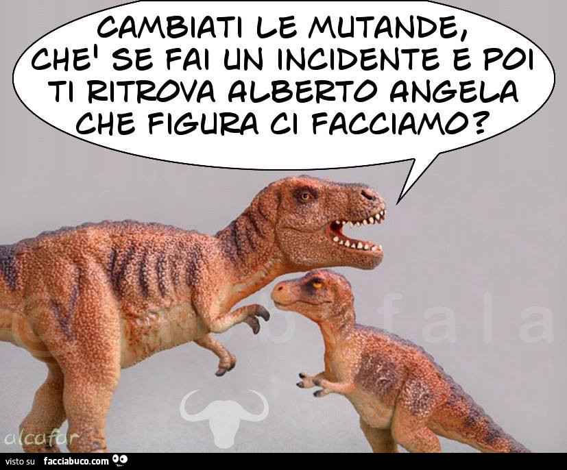 Cambiati le mutande, che se fai un incidente e poi ti ritrova Alberto Angela che figura ci facciamo?