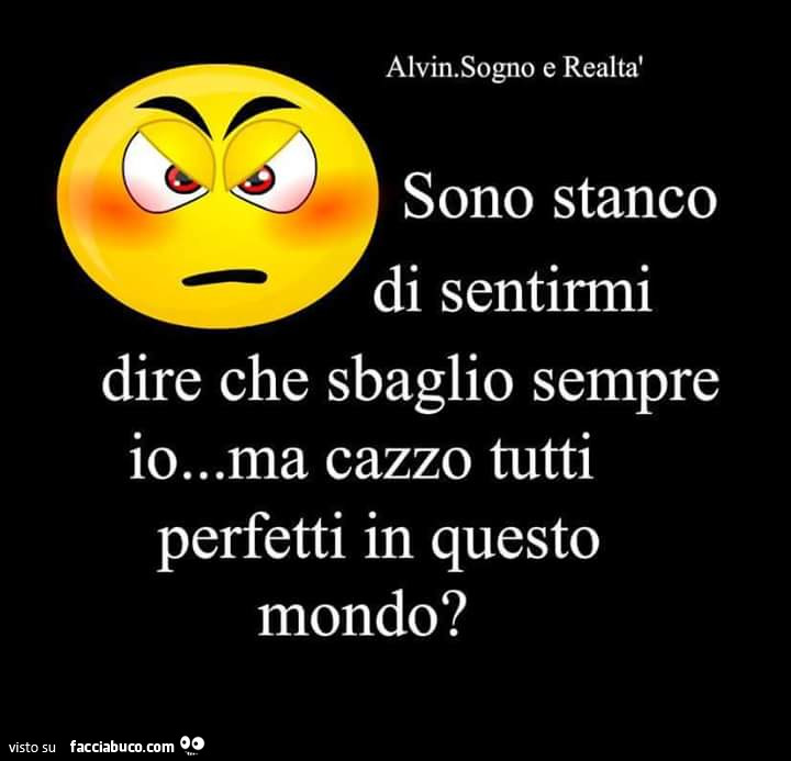 Sono stanco di sentirmi dire che sbaglio sempre io… ma cazzo tutti perfetti in questo mondo?