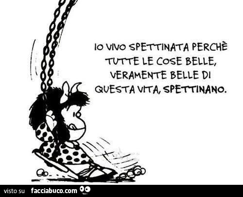 Io vivo spettinata perchè tutte le cose belle, veramente belle di questa vita, spettinano