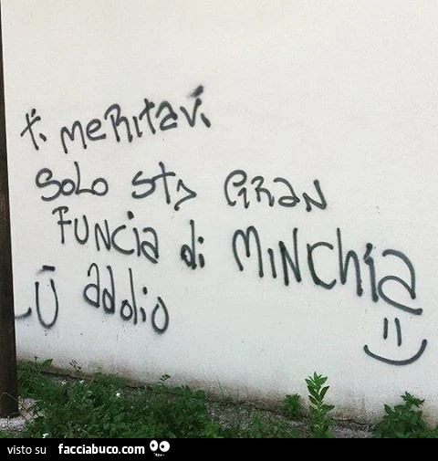 Ti meritavi solo sta gran funcia di minchia. Addio