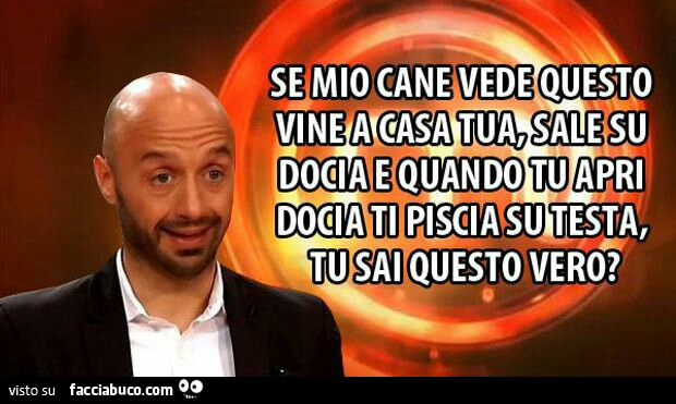 Se mio cane vede questo viene a casa tua, sale su docia e quando tu apri docia ti piscia su testa, tu sai questo vero?