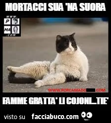 Mortacci sua na suora&hellip; famme grattà li cojoni. Tiè