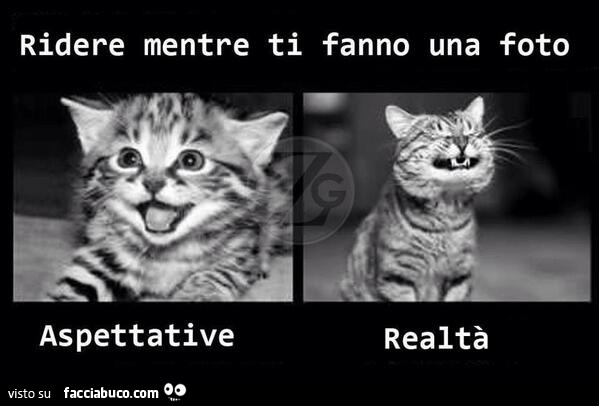Ridere mentre ti fanno una foto. Aspettative. Realtà