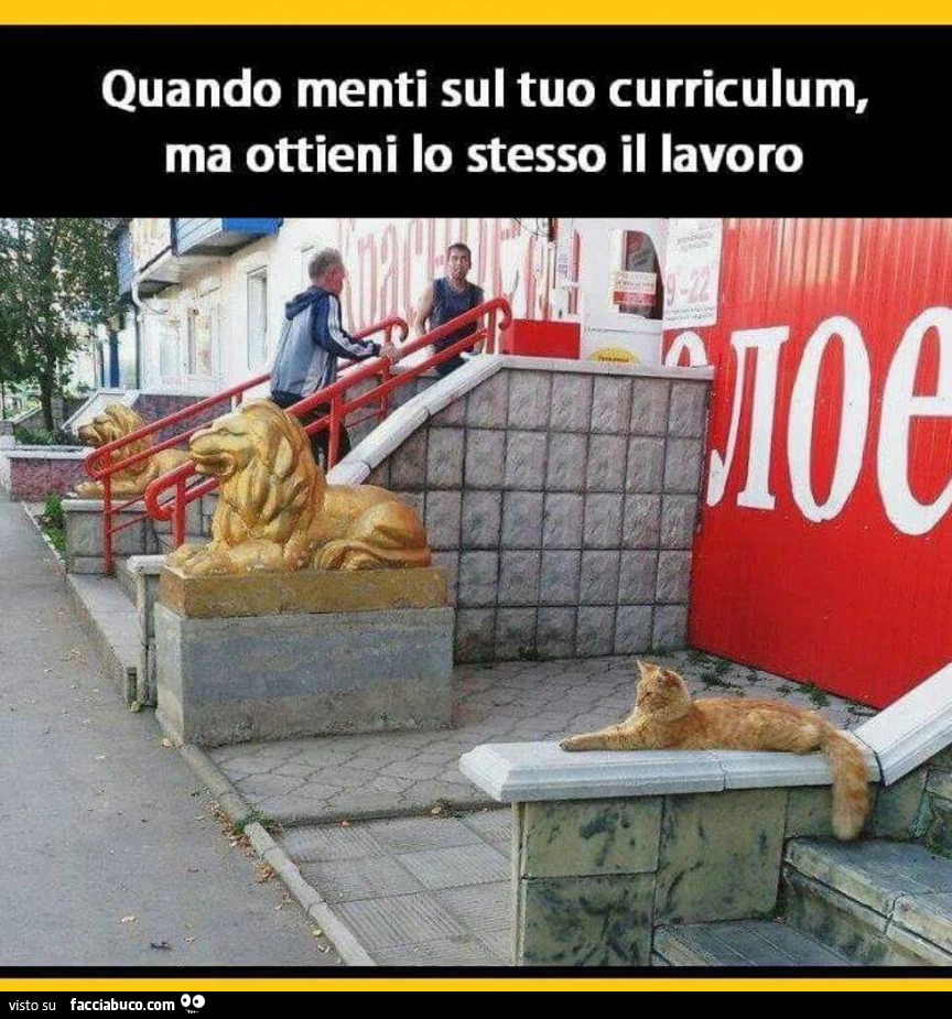 Gatto sfinge. Quando menti sul tuo curriculum, ma ottieni lo stesso il lavoro