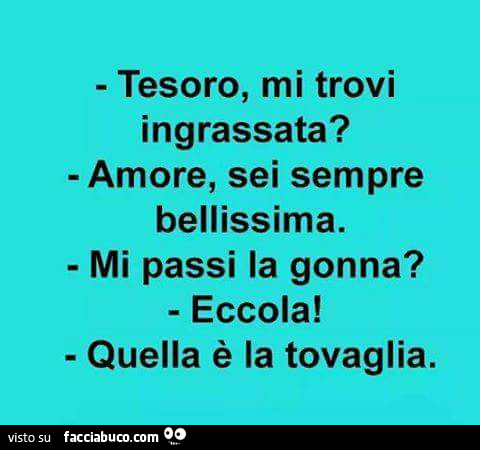 Tesoro mi trovi ingrassata? Amore, sei sempre bellissima. Mi passi la gonna? Eccola! Quella è la tovaglia