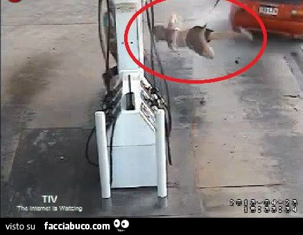 L'auto riparte portandosi dietro la ragazza e la pompa di benzina