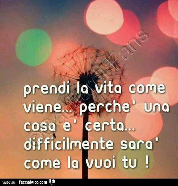 Prendi la vita come viene perchè una cosa è certa… difficilmente sarà come la vuoi tu