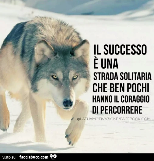 Il successo è una strada solitaria che ben pochi hanno coraggio di percorrere