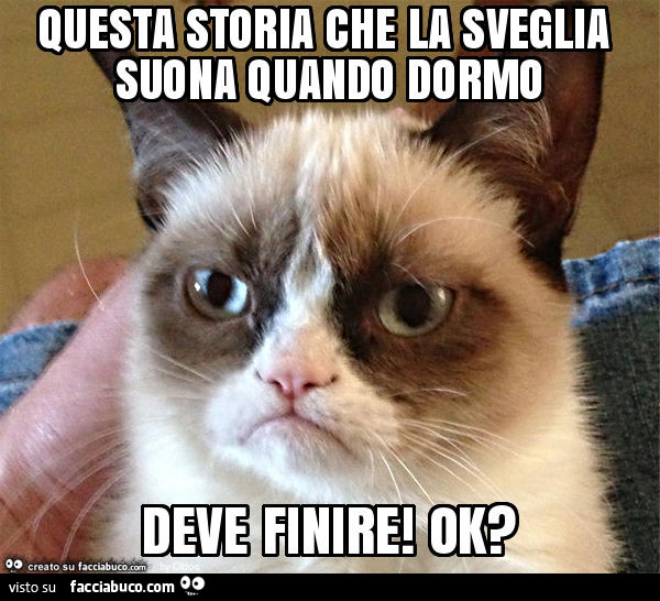 Questa storia che la sveglia suona quando dormo deve finire! Ok