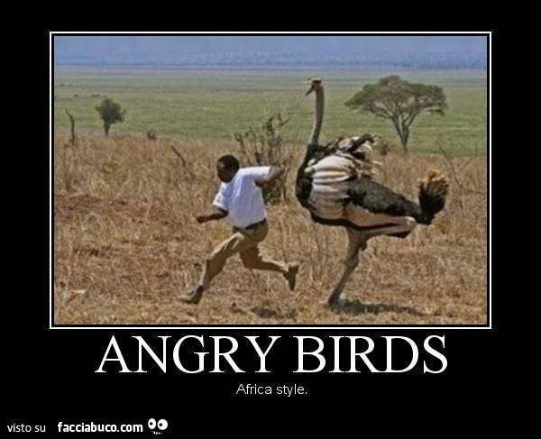 Angry Birds Africa Style