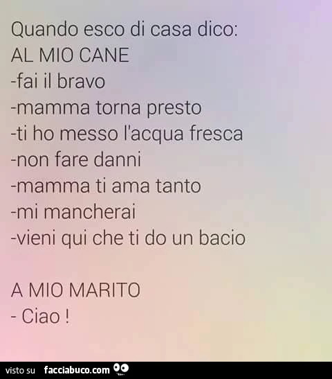 Quando esco di casa cosa dico al mio cane e cosa a mio marito