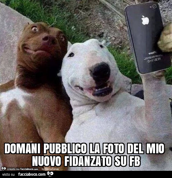 Domani pubblico la foto del mio nuovo fidanzato su fb