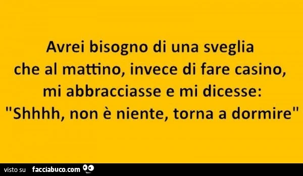 Avrei bisogno di una sveglia che al mattino, invece di fare casino, mi abbracciasse e mi dicesse: shh non è niente, torna a dormire