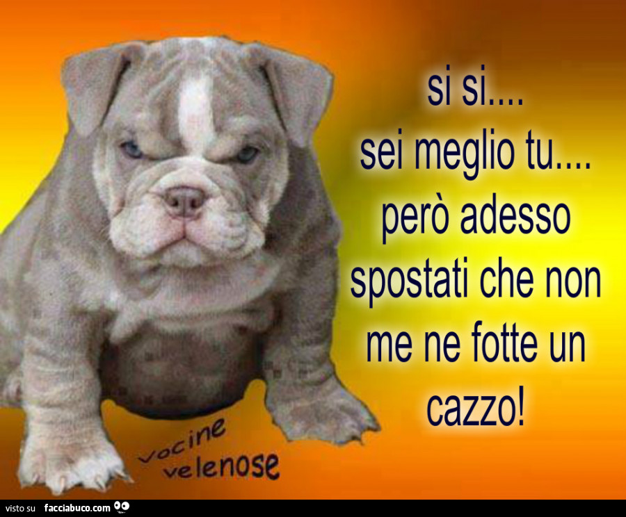 E Adesso Non Ci Sei Che Tu
