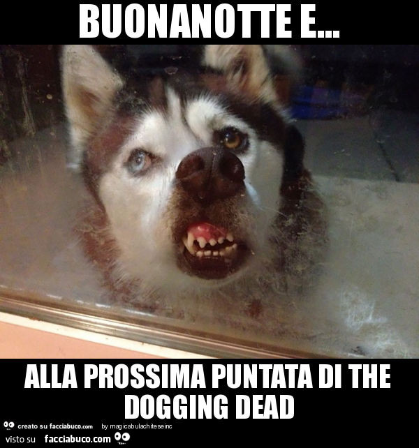 Buonanotte e… alla prossima puntata di the dogging dead