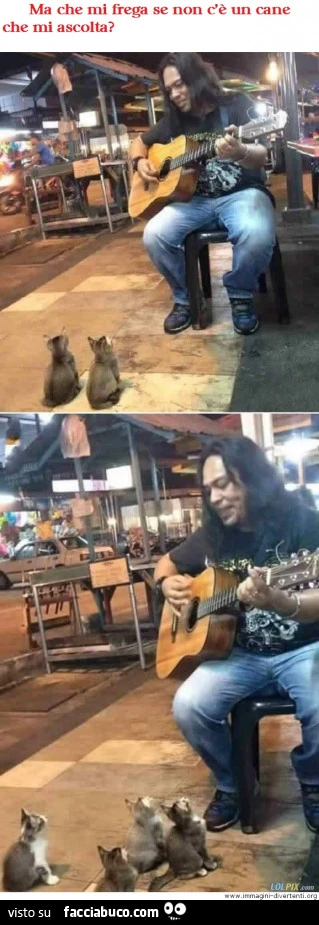 Ma che mi frega se non c'è un cane che mi ascolta?