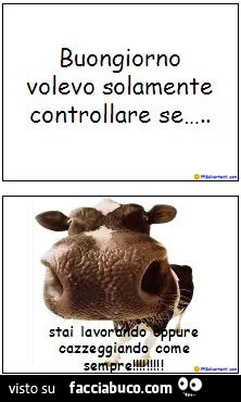 Buongiorno volevo solamente controllare se stai lavorando oppure cazzeggiando come sempre