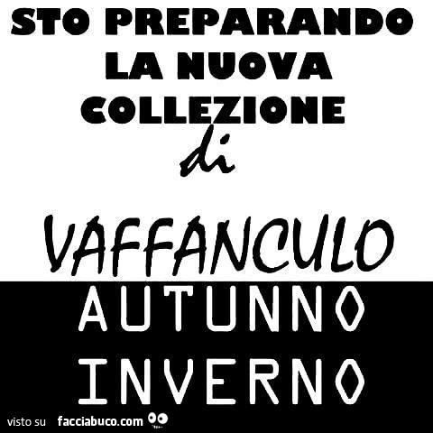Sto preparando la nuova collezione di vaffanculo autunno inverno