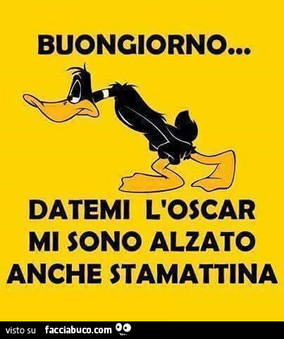 Buongiorno… datemi l'oscar, mi sono alzato anche stamattina