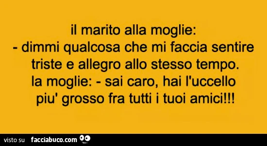 Il marito alla moglie: dimmi qualcosa che mi faccia sentire triste e allegro allo stesso tempo. La moglie: sai caro, hai l'uccello più grosso fra tutti i tuoi amici