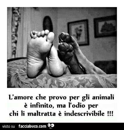 L'amore che provo per gli animali è infinito, ma l'odio per chi li maltratta è indescrivibile