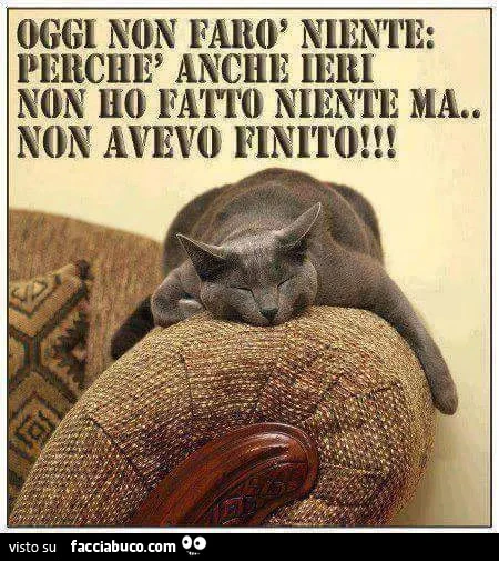 Oggi non farò niente: perchè anche ieri non ho fatto niente ma non avevo finito