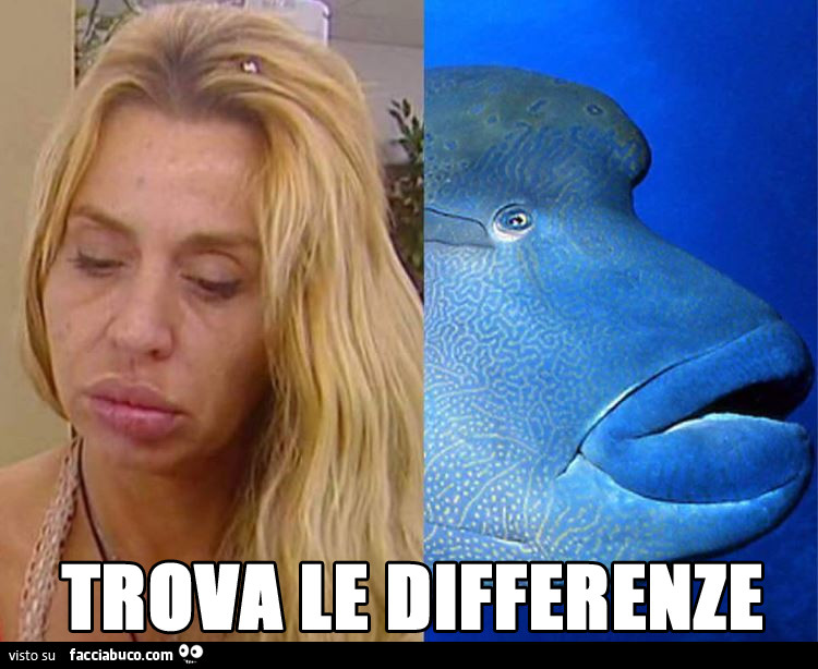 Valeria Marini con il pesce col labbrone. Trova le differenze