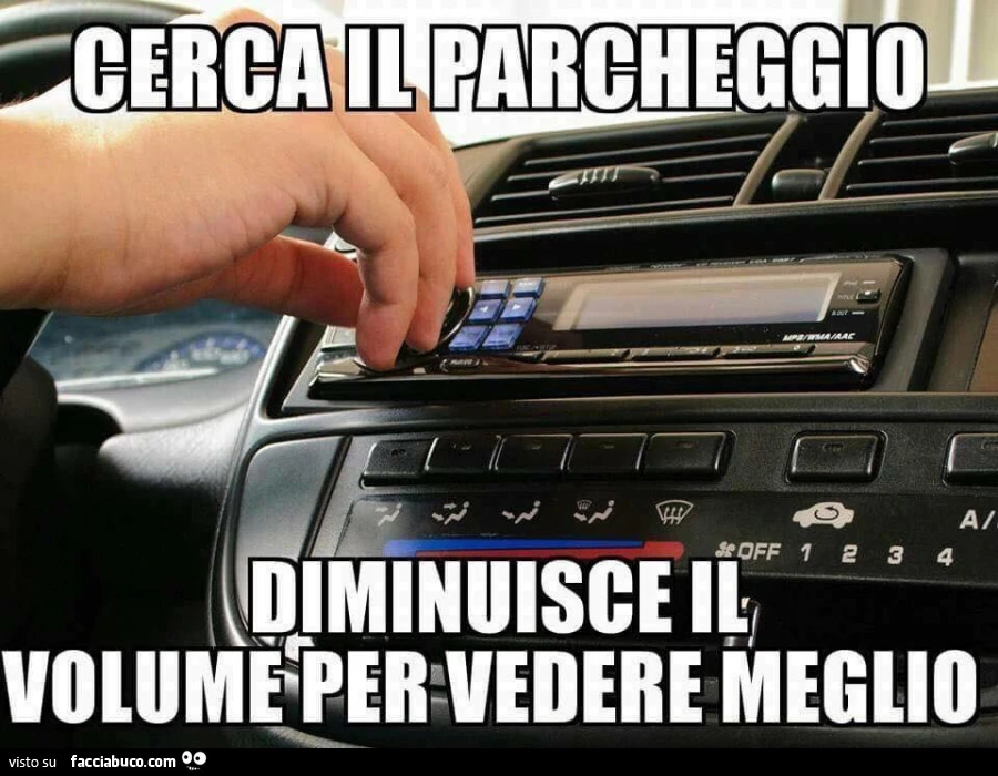 Cerca il parcheggio, diminuisce il volume per vedere meglio