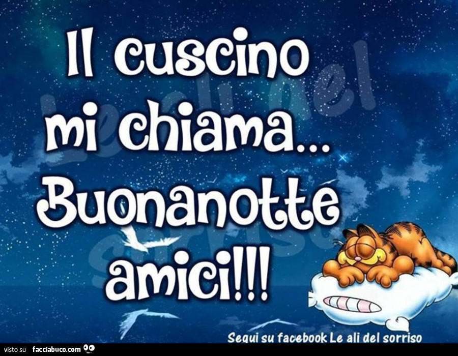 Il cuscino mi chiama. Buonanotte amici