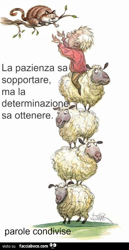 La pazienza sa sopportare, ma la determinazione sa ottenere parole condivise